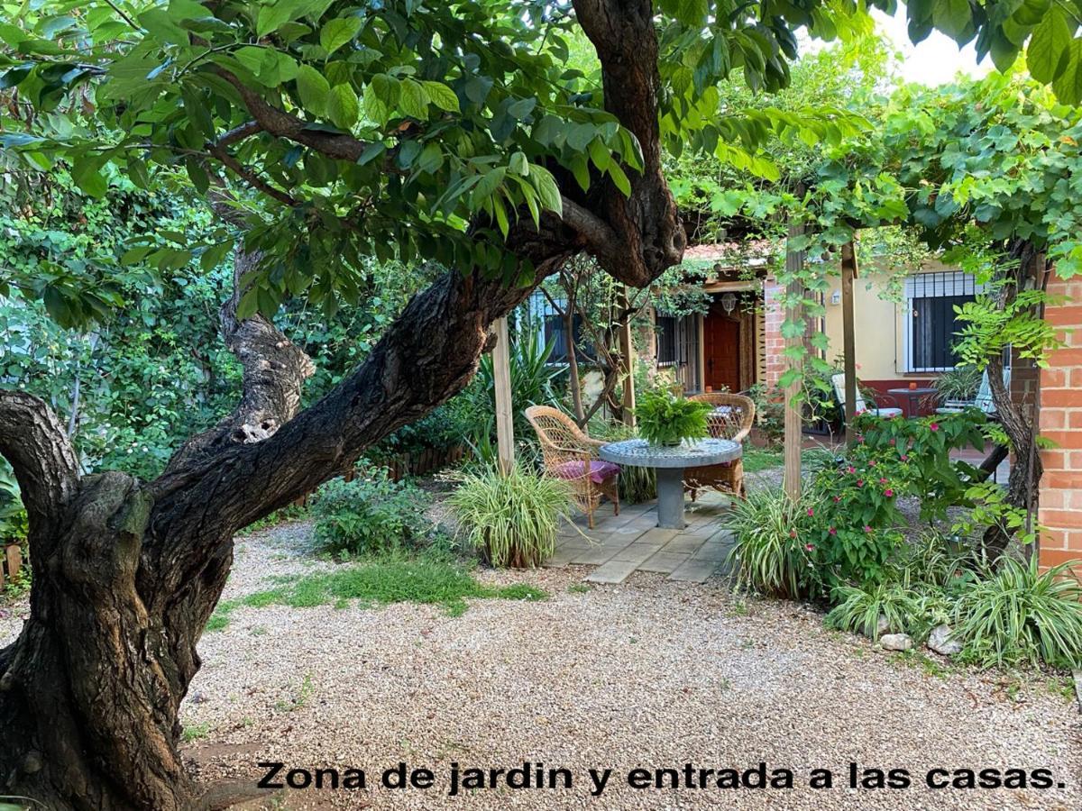 La Casa Rural De Carlos Playa de Gandia Экстерьер фото
